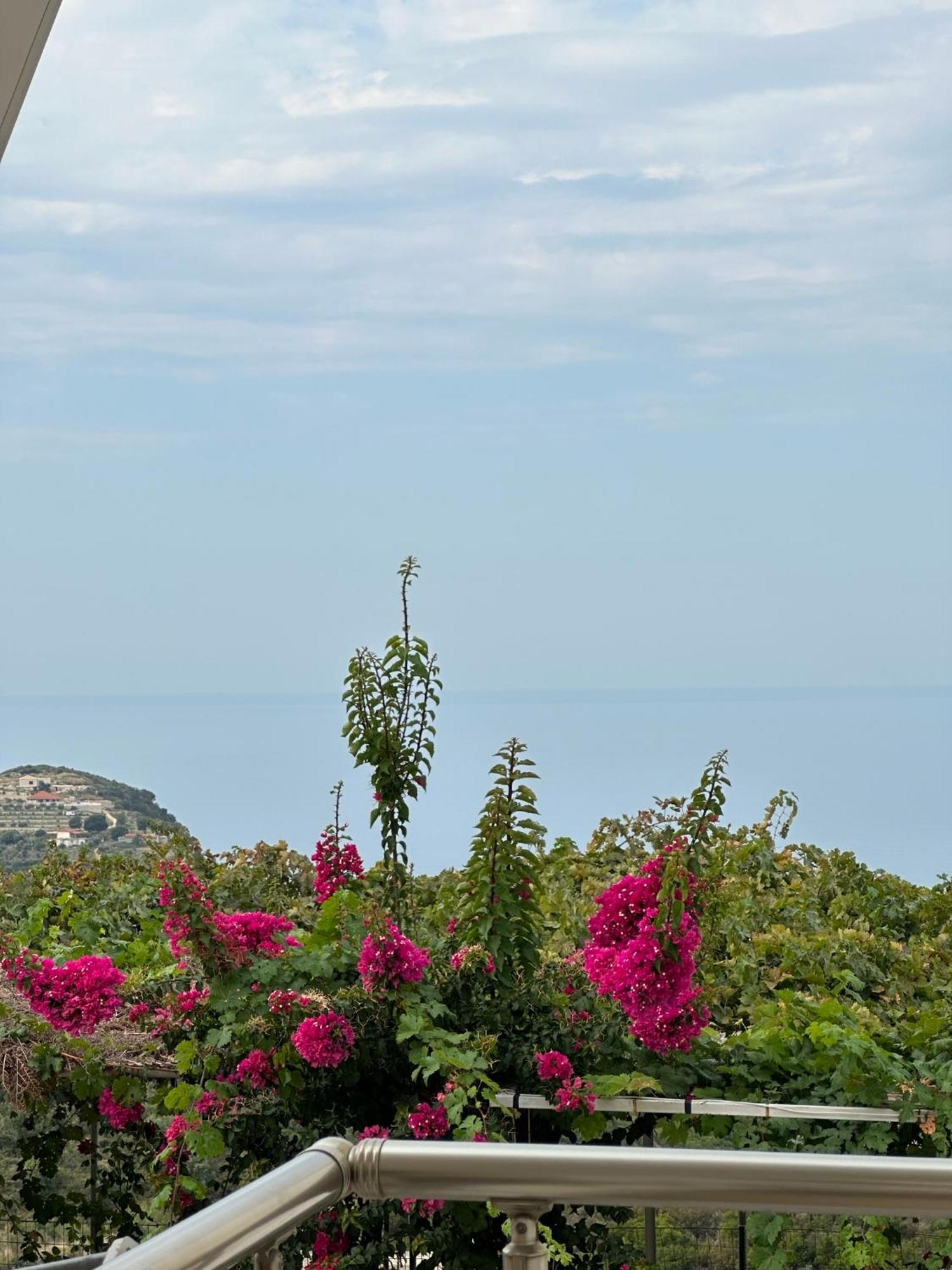 Elea Guesthouse Himara Zewnętrze zdjęcie