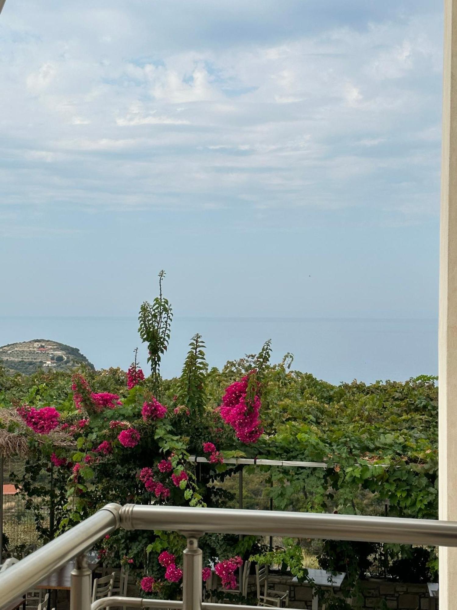 Elea Guesthouse Himara Zewnętrze zdjęcie