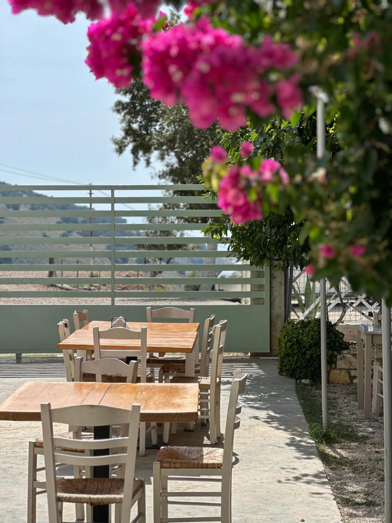 Elea Guesthouse Himara Zewnętrze zdjęcie
