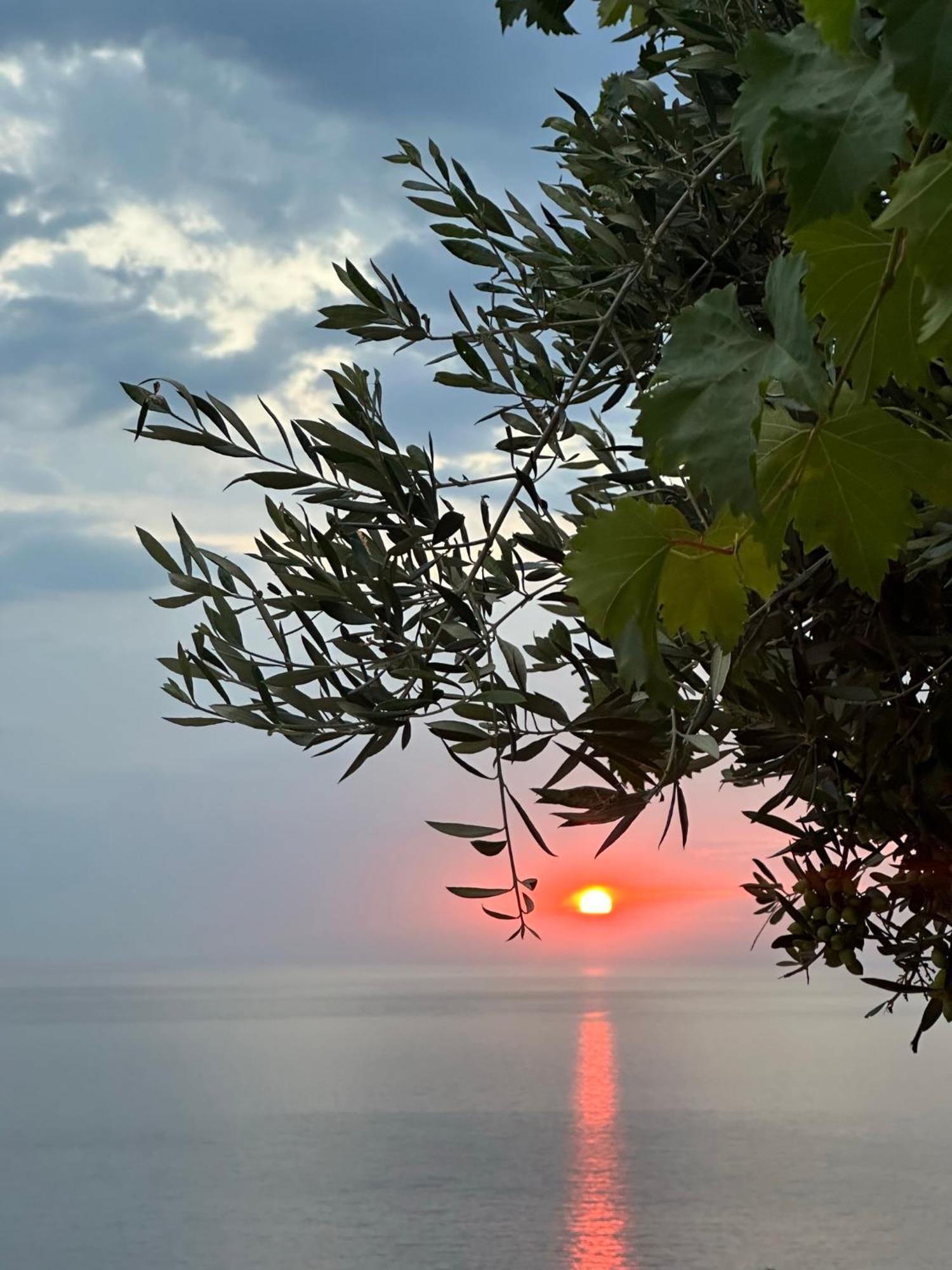 Elea Guesthouse Himara Zewnętrze zdjęcie