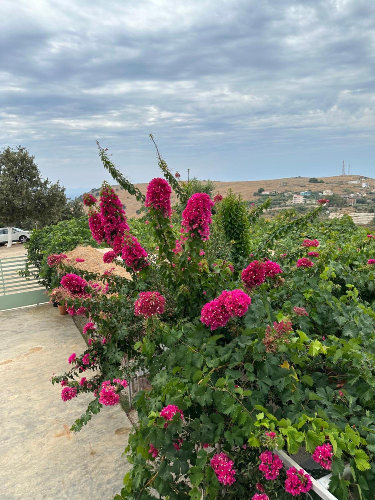 Elea Guesthouse Himara Zewnętrze zdjęcie