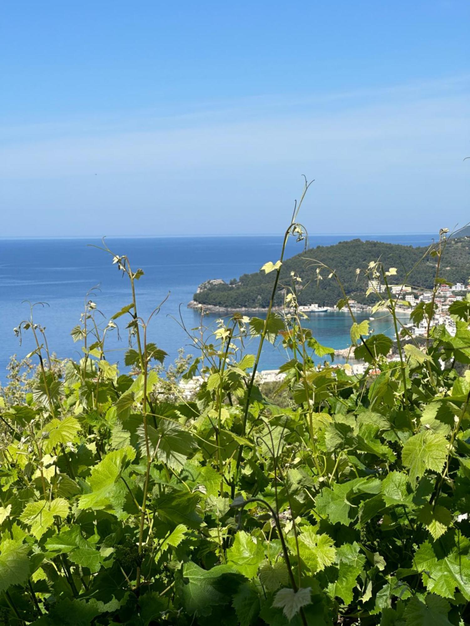 Elea Guesthouse Himara Zewnętrze zdjęcie